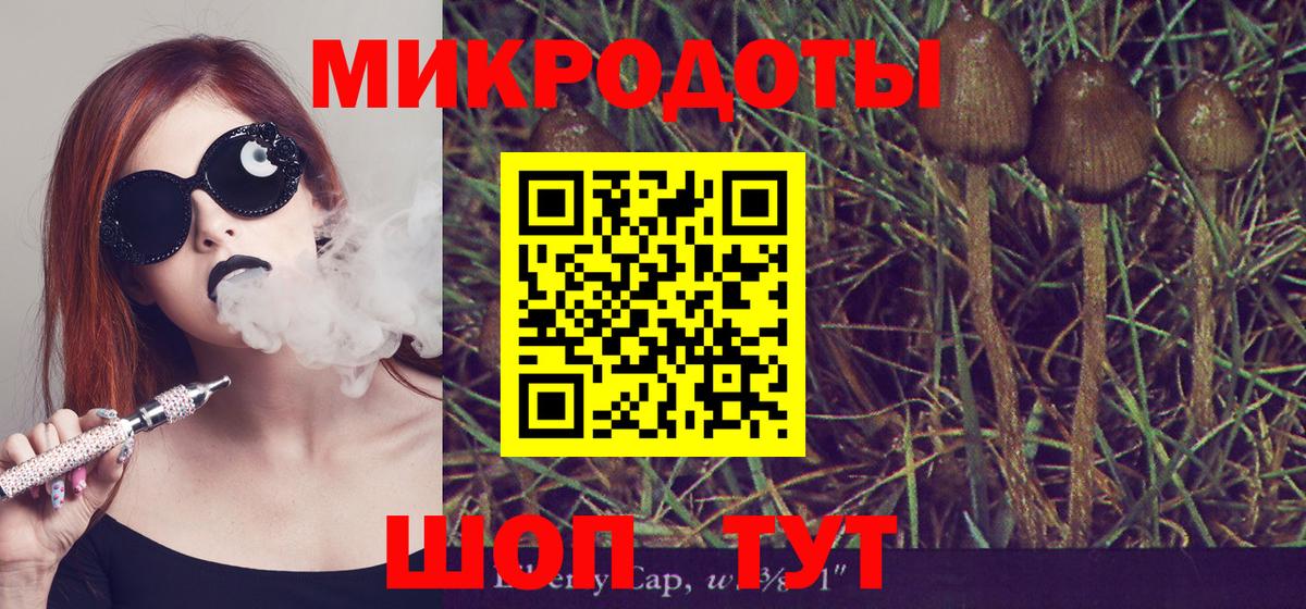 Псилоцибиновые грибы мухоморы Полевской